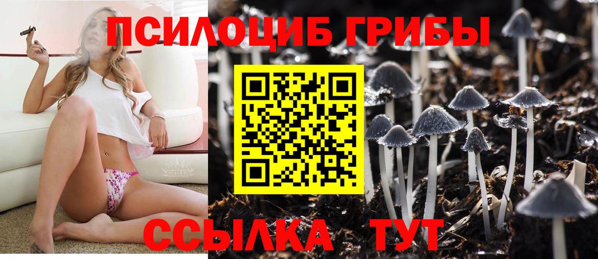 Псилоцибиновые грибы Magic Shrooms Сегежа