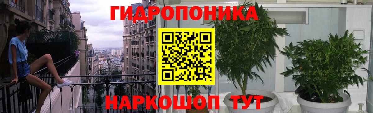 Бошки Шишки семена Сегежа